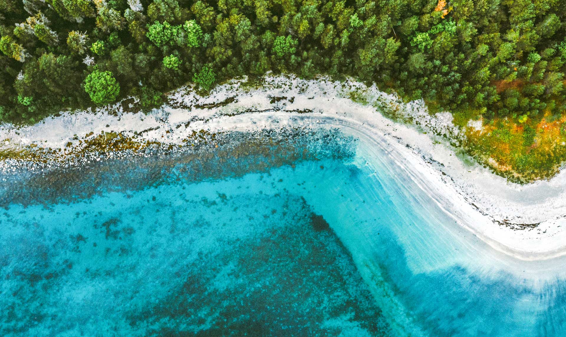 beautiful blue water, a sandy beach and green trees