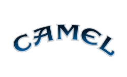 camel