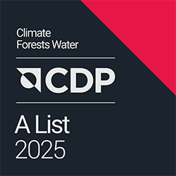 CDP A-List 2025