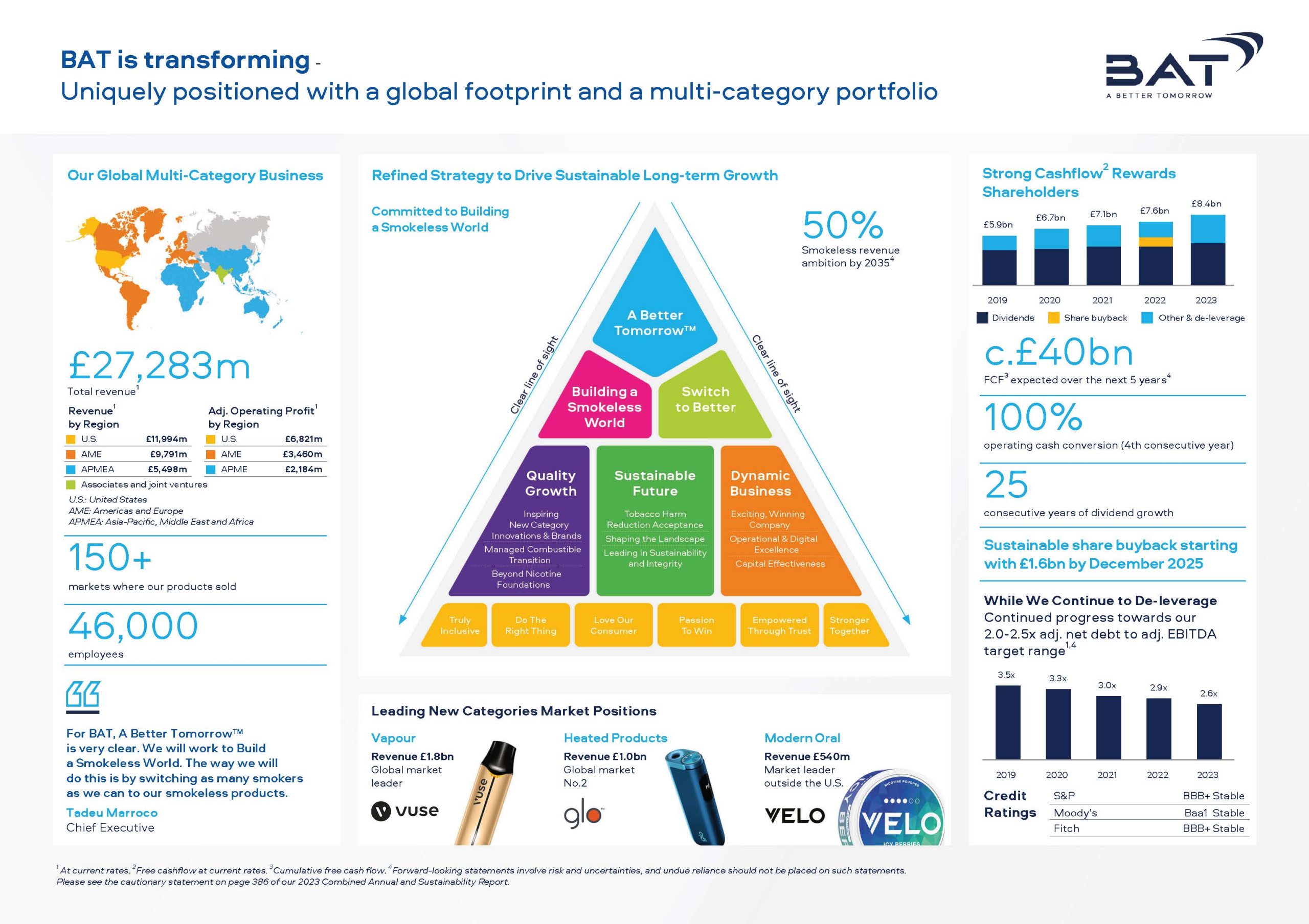 British american tobacco investor factsheet