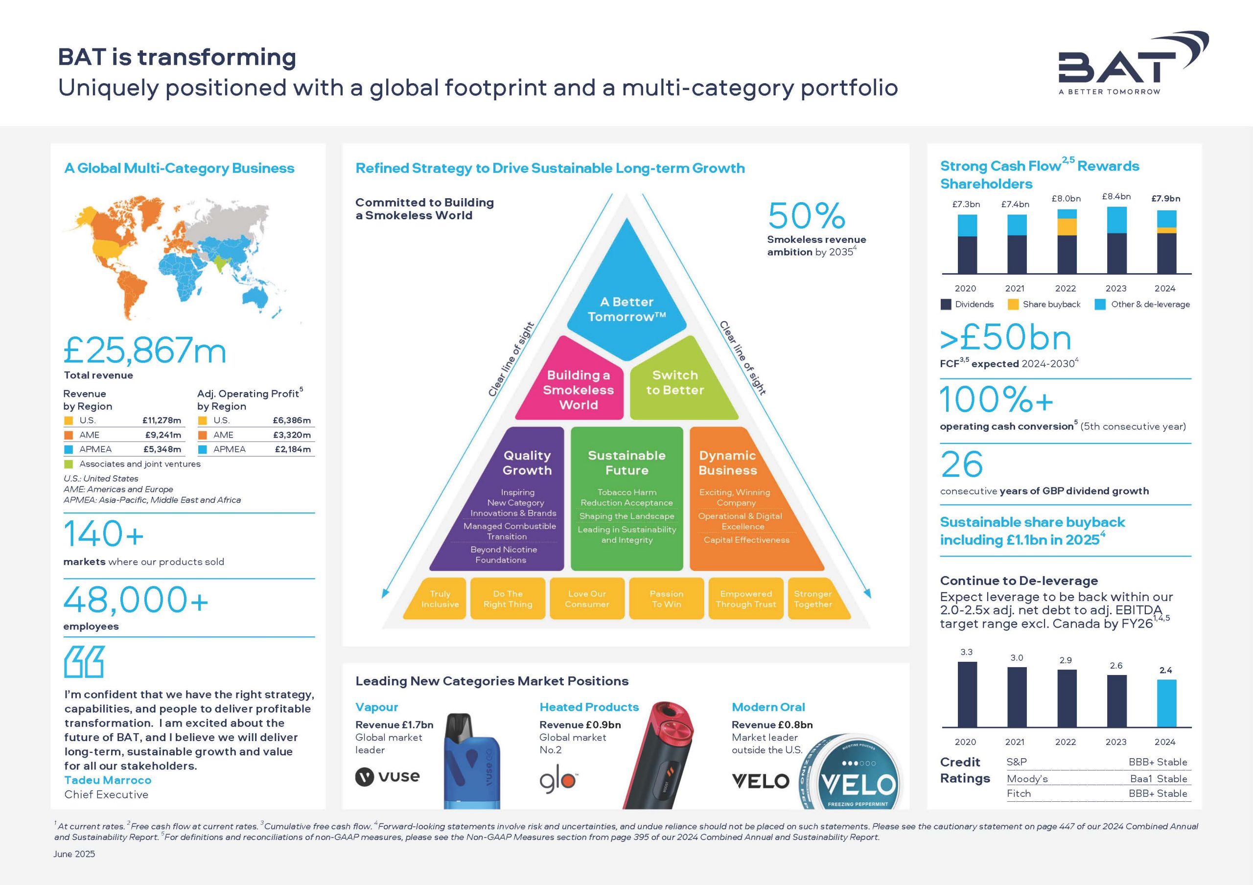 Investor's Factsheet