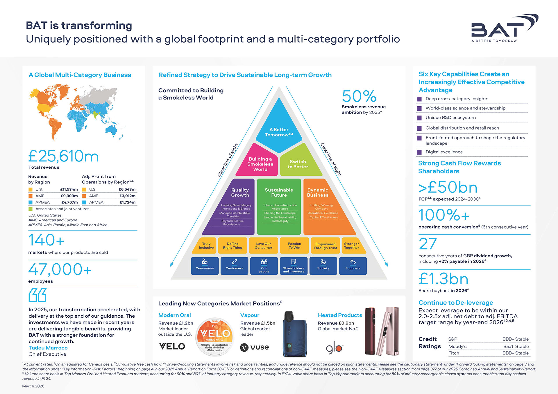 Investor's Factsheet