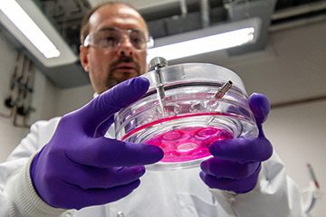 Science and innovation