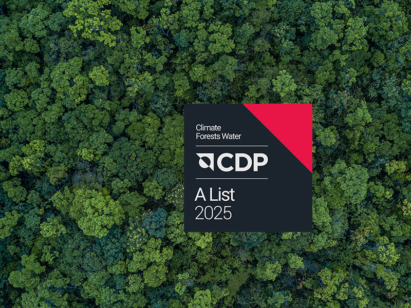 CDP A-List 2025