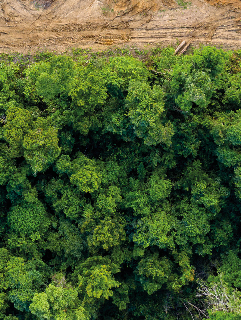 Adopting technology in support of nature