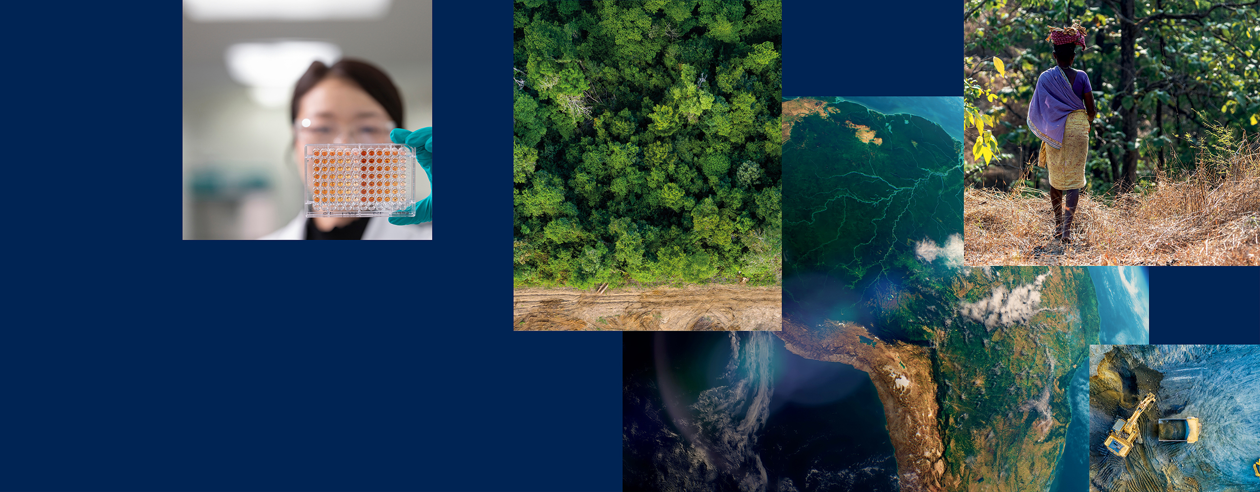 Sustainability and ESG