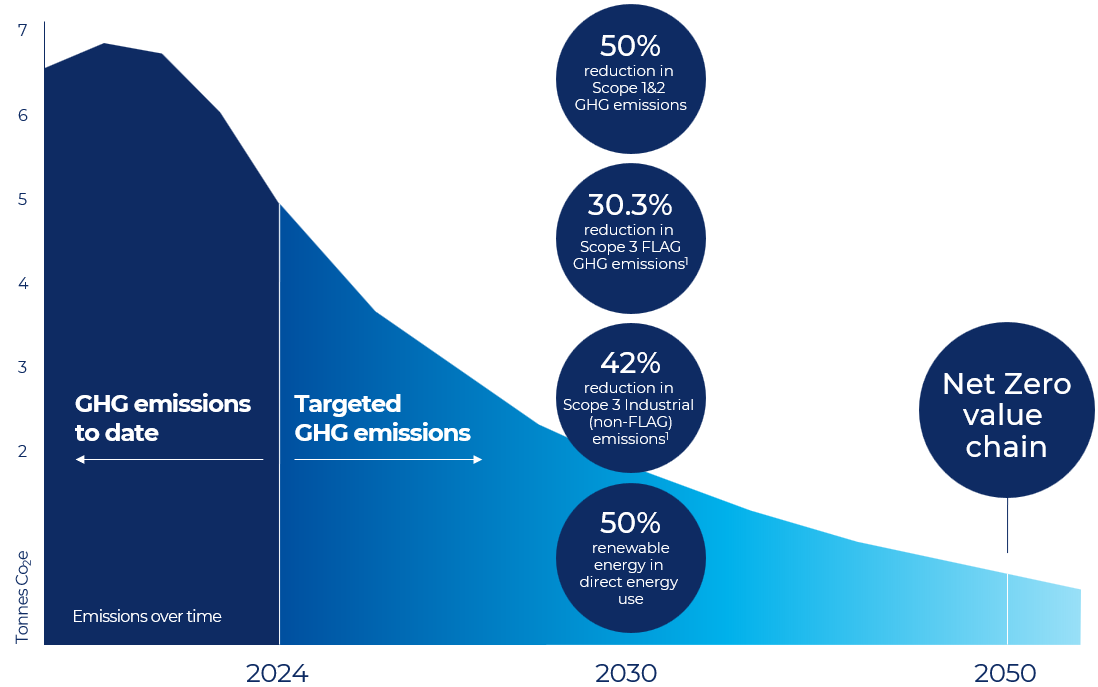 Climate change glide path to net zero