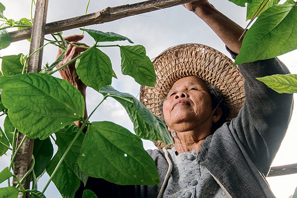 Farming Communities