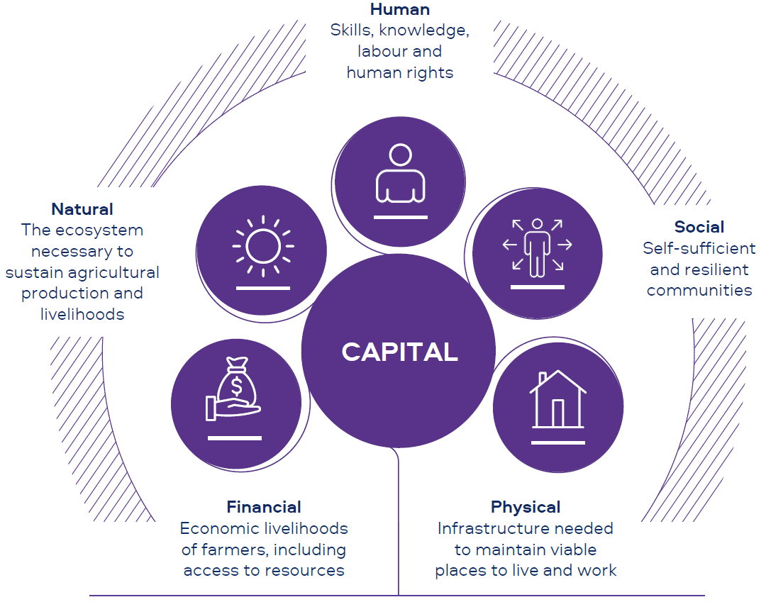 Diagram showing the five capitals of Thrive; Financial, Natural, Human, Social and Physical