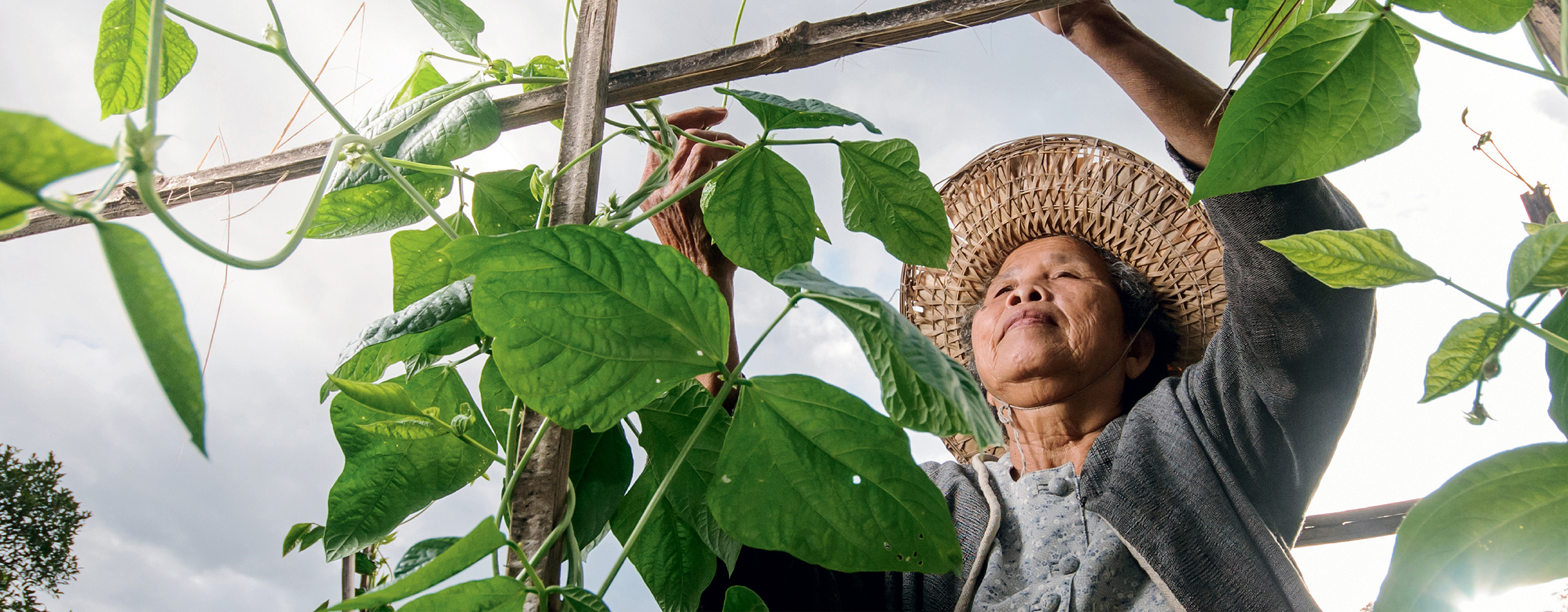 Farming Communities
