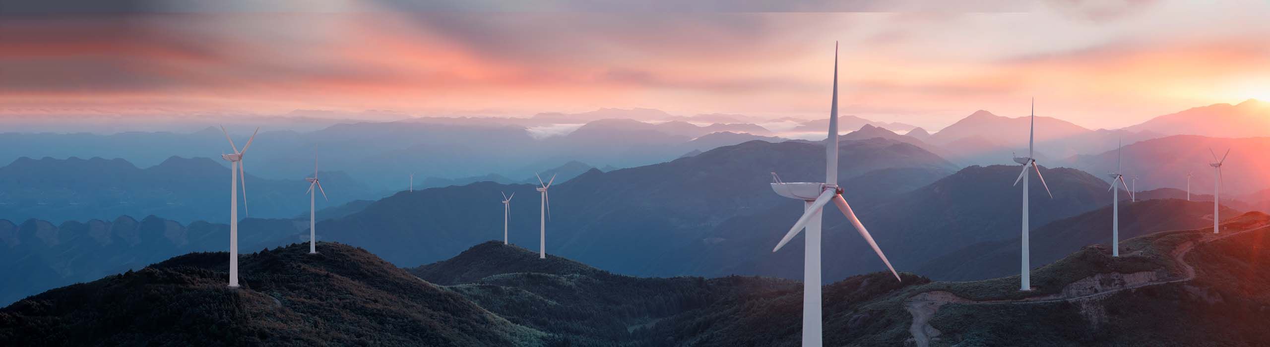 Sustainability governance